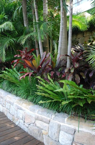 Organic Farming Gallery 1